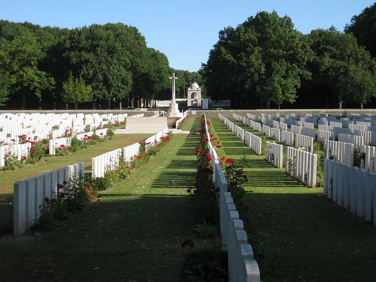 Gazon pousse lente en cimetière : solutions et semis adaptés